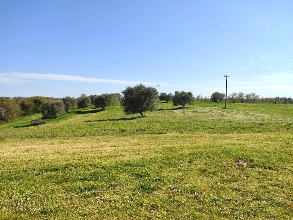 Podere San Giuseppe أكوابيندينتي المظهر الخارجي الصورة